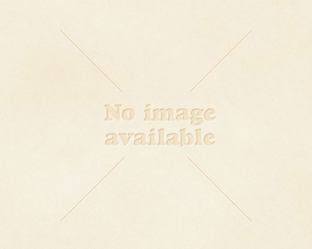 Leeks - mix of varieties